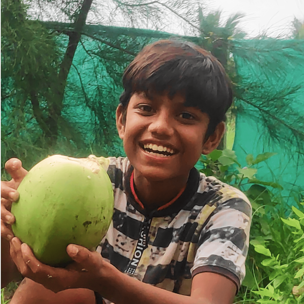 a cute boy having coconut water