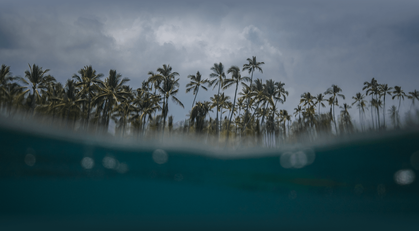 Surfing in india