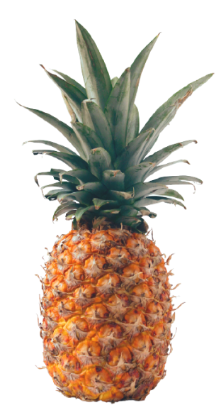 A pineapple